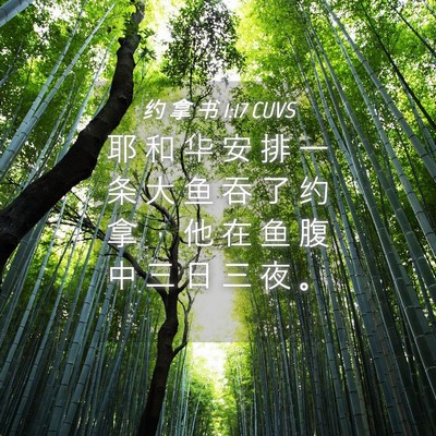 Picture 04 - 约 拿 书 1:17 CUVS - 耶 和 华 安 排 一 条 大 鱼 吞 了 约 - Bible Verse Picture