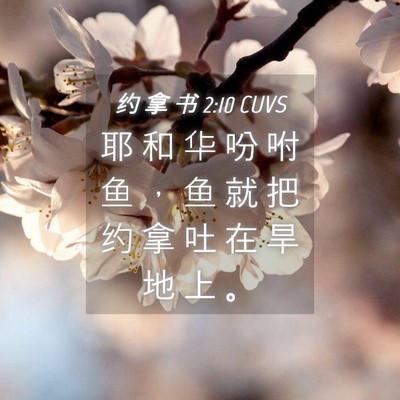 Picture 04 - 约 拿 书 2:10 CUVS - 耶 和 华 吩 咐 鱼 ， 鱼 就 把 约 拿 - Bible Verse Picture
