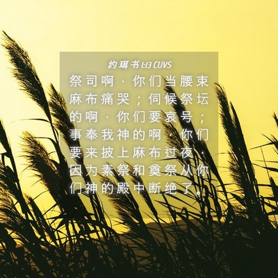 Picture 04 - 约 珥 书 1:13 CUVS - 祭 司 啊 ， 你 们 当 腰 束 麻 布 痛 - Bible Verse Picture