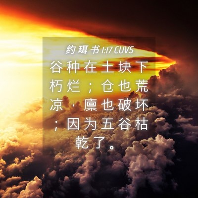 Picture 04 - 约 珥 书 1:17 CUVS - 谷 种 在 土 块 下 朽 烂 ； 仓 也 荒 - Bible Verse Picture