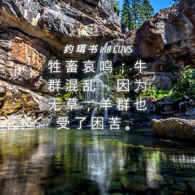 Picture 04 - 约 珥 书 1:18 CUVS - 牲 畜 哀 鸣 ； 牛 群 混 乱 ， 因 为 - Bible Verse Picture