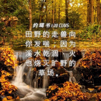 Picture 04 - 约 珥 书 1:20 CUVS - 田 野 的 走 兽 向 你 发 喘 ； 因 为 - Bible Verse Picture