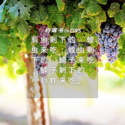 Picture 04 - 约 珥 书 1:4 CUVS - 剪 虫 剩 下 的 ， 蝗 虫 来 吃 ； 蝗 - Bible Verse Picture