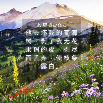 Picture 04 - 约 珥 书 1:7 CUVS - 他 毁 坏 我 的 葡 萄 树 ， 剥 了 我 - Bible Verse Picture