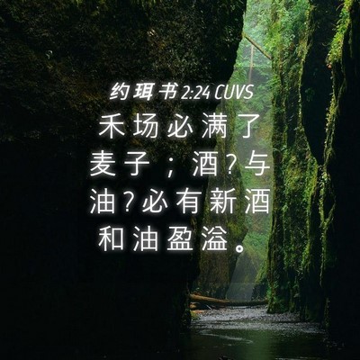 Picture 04 - 约 珥 书 2:24 CUVS - 禾 场 必 满 了 麦 子 ； 酒 ? 与 油 ? - Bible Verse Picture