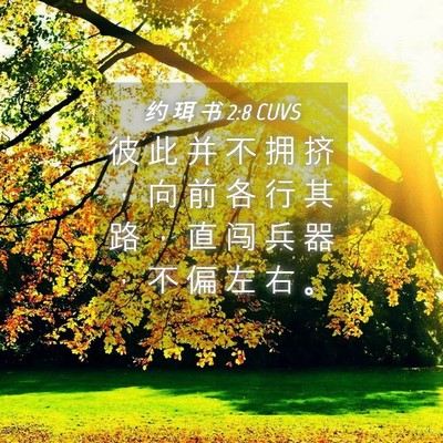 Picture 04 - 约 珥 书 2:8 CUVS - 彼 此 并 不 拥 挤 ， 向 前 各 行 其 - Bible Verse Picture