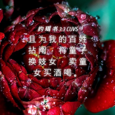 Picture 04 - 约 珥 书 3:3 CUVS - 且 为 我 的 百 姓 拈 阄 ， 将 童 子 - Bible Verse Picture