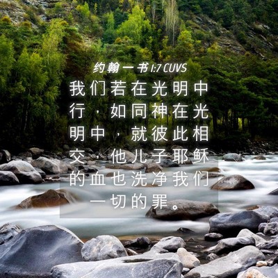 Picture 04 - 约 翰 一 书 1:7 CUVS - 我 们 若 在 光 明 中 行 ， 如 同 神 - Bible Verse Picture