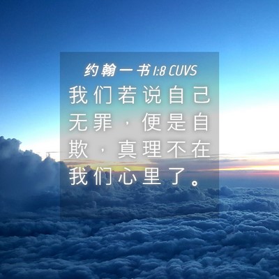 Picture 04 - 约 翰 一 书 1:8 CUVS - 我 们 若 说 自 己 无 罪 ， 便 是 自 - Bible Verse Picture