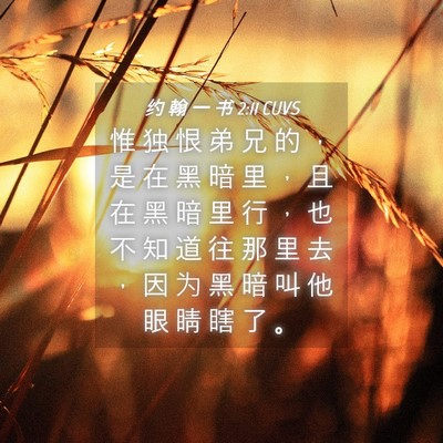 Picture 04 - 约 翰 一 书 2:11 CUVS - 惟 独 恨 弟 兄 的 ， 是 在 黑 暗 里 - Bible Verse Picture