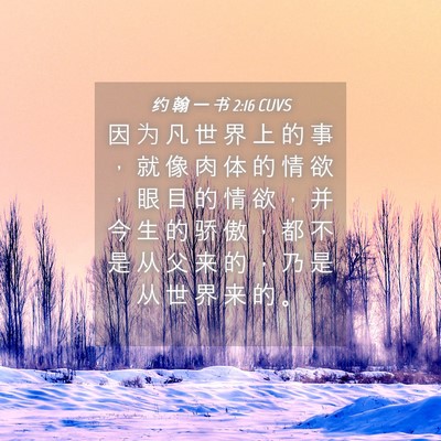 Picture 04 - 约 翰 一 书 2:16 CUVS - 因 为 凡 世 界 上 的 事 ， 就 像 肉 - Bible Verse Picture