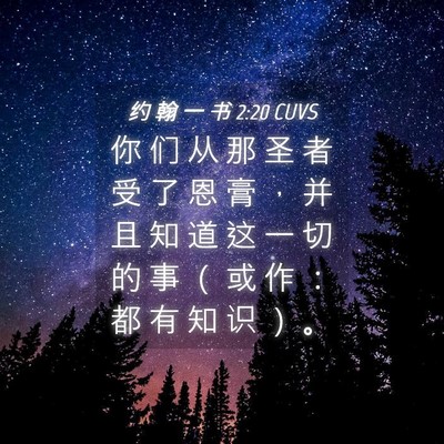 Picture 04 - 约 翰 一 书 2:20 CUVS - 你 们 从 那 圣 者 受 了 恩 膏 ， 并 - Bible Verse Picture