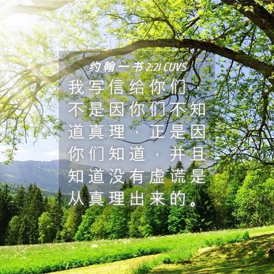 Picture 04 - 约 翰 一 书 2:21 CUVS - 我 写 信 给 你 们 ， 不 是 因 你 们 - Bible Verse Picture