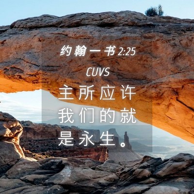 Picture 04 - 约 翰 一 书 2:25 CUVS - 主 所 应 许 我 们 的 就 是 永 生 - Bible Verse Picture