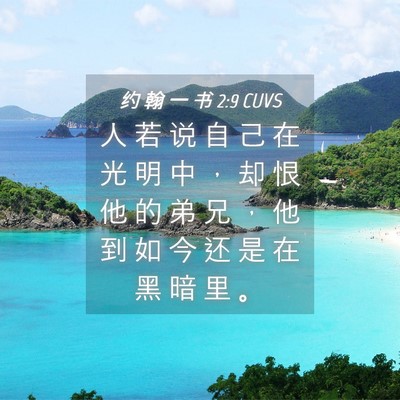 Picture 04 - 约 翰 一 书 2:9 CUVS - 人 若 说 自 己 在 光 明 中 ， 却 恨 - Bible Verse Picture