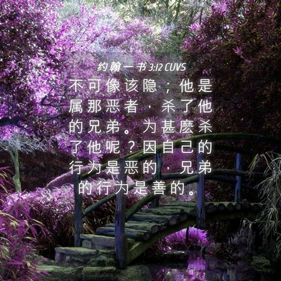 Picture 04 - 约 翰 一 书 3:12 CUVS - 不 可 像 该 隐 ； 他 是 属 那 恶 者 - Bible Verse Picture