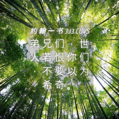 Picture 04 - 约 翰 一 书 3:13 CUVS - 弟 兄 们 ， 世 人 若 恨 你 们 ， 不 - Bible Verse Picture