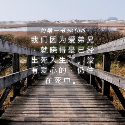 Picture 04 - 约 翰 一 书 3:14 CUVS - 我 们 因 为 爱 弟 兄 ， 就 晓 得 是 - Bible Verse Picture