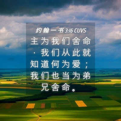 Picture 04 - 约 翰 一 书 3:16 CUVS - 主 为 我 们 舍 命 ， 我 们 从 此 就 - Bible Verse Picture