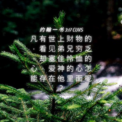 Picture 04 - 约 翰 一 书 3:17 CUVS - 凡 有 世 上 财 物 的 ， 看 见 弟 兄 - Bible Verse Picture