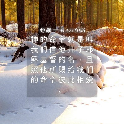 Picture 04 - 约 翰 一 书 3:23 CUVS - 神 的 命 令 就 是 叫 我 们 信 他 儿 - Bible Verse Picture