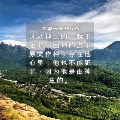 Picture 04 - 约 翰 一 书 3:9 CUVS - 凡 从 神 生 的 ， 就 不 犯 罪 ， 因 - Bible Verse Picture