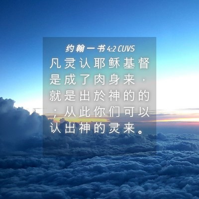 Picture 04 - 约 翰 一 书 4:2 CUVS - 凡 灵 认 耶 稣 基 督 是 成 了 肉 身 - Bible Verse Picture