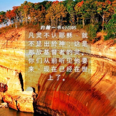 Picture 04 - 约 翰 一 书 4:3 CUVS - 凡 灵 不 认 耶 稣 ， 就 不 是 出 於 - Bible Verse Picture