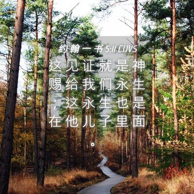 Picture 04 - 约 翰 一 书 5:11 CUVS - 这 见 证 就 是 神 赐 给 我 们 永 生 - Bible Verse Picture