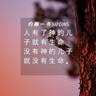 Picture 04 - 约 翰 一 书 5:12 CUVS - 人 有 了 神 的 儿 子 就 有 生 命 ， - Bible Verse Picture