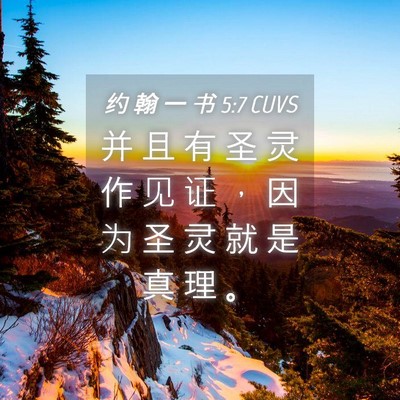 Picture 04 - 约 翰 一 书 5:7 CUVS - 并 且 有 圣 灵 作 见 证 ， 因 为 圣 - Bible Verse Picture