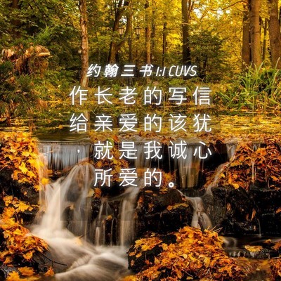 Picture 04 - 约 翰 三 书 1:1 CUVS - 作 长 老 的 写 信 给 亲 爱 的 该 犹 - Bible Verse Picture