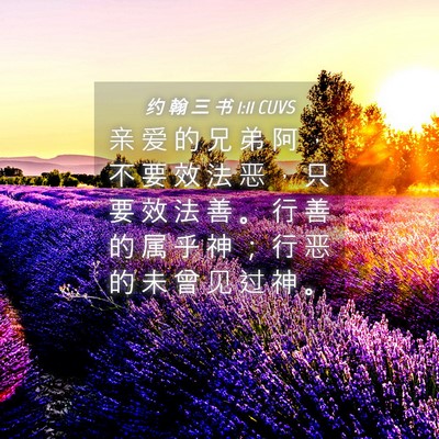 Picture 04 - 约 翰 三 书 1:11 CUVS - 亲 爱 的 兄 弟 阿 ， 不 要 效 法 恶 - Bible Verse Picture