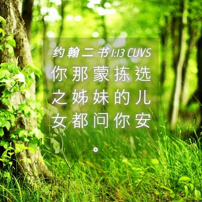 Picture 04 - 约 翰 二 书 1:13 CUVS - 你 那 蒙 拣 选 之 姊 妹 的 儿 女 都 - Bible Verse Picture