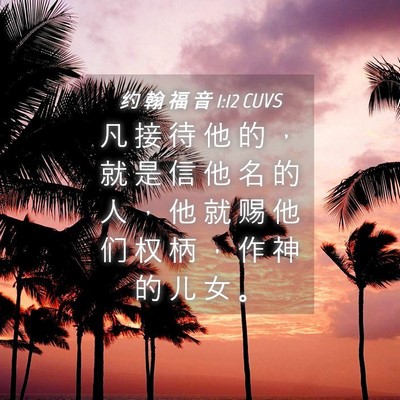 Picture 04 - 约 翰 福 音 1:12 CUVS - 凡 接 待 他 的 ， 就 是 信 他 名 的 - Bible Verse Picture