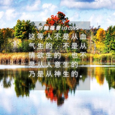 Picture 04 - 约 翰 福 音 1:13 CUVS - 这 等 人 不 是 从 血 气 生 的 ， 不 - Bible Verse Picture
