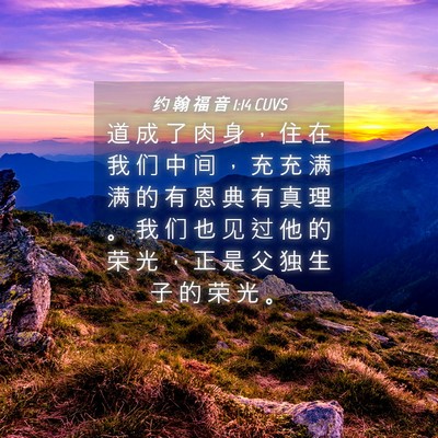 Picture 04 - 约 翰 福 音 1:14 CUVS - 道 成 了 肉 身 ， 住 在 我 们 中 间 - Bible Verse Picture
