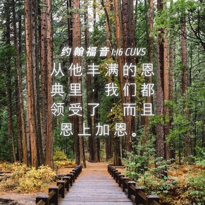 Picture 04 - 约 翰 福 音 1:16 CUVS - 从 他 丰 满 的 恩 典 里 ， 我 们 都 - Bible Verse Picture
