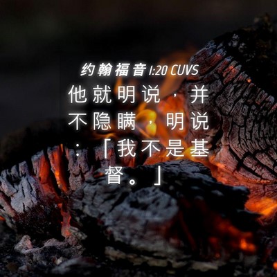 Picture 04 - 约 翰 福 音 1:20 CUVS - 他 就 明 说 ， 并 不 隐 瞒 ， 明 说 - Bible Verse Picture