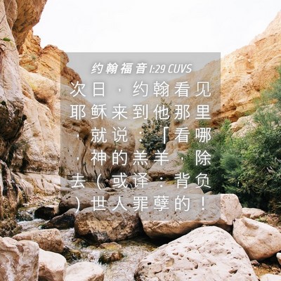 Picture 04 - 约 翰 福 音 1:29 CUVS - 次 日 ， 约 翰 看 见 耶 稣 来 到 他 - Bible Verse Picture