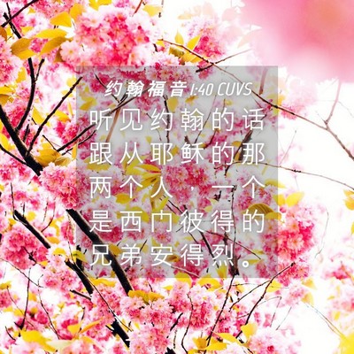 Picture 04 - 约 翰 福 音 1:40 CUVS - 听 见 约 翰 的 话 跟 从 耶 稣 的 那 - Bible Verse Picture