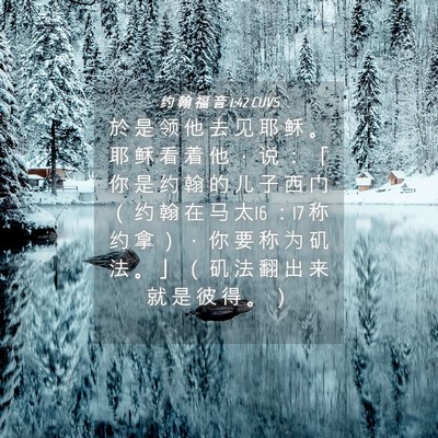 Picture 04 - 约 翰 福 音 1:42 CUVS - 於 是 领 他 去 见 耶 稣 。 耶 稣 看 - Bible Verse Picture