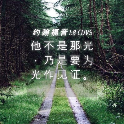 Picture 04 - 约 翰 福 音 1:8 CUVS - 他 不 是 那 光 ， 乃 是 要 为 光 作 - Bible Verse Picture