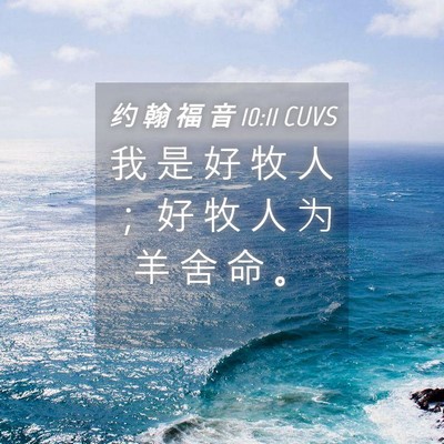Picture 04 - 约 翰 福 音 10:11 CUVS - 我 是 好 牧 人 ； 好 牧 人 为 羊 舍 - Bible Verse Picture