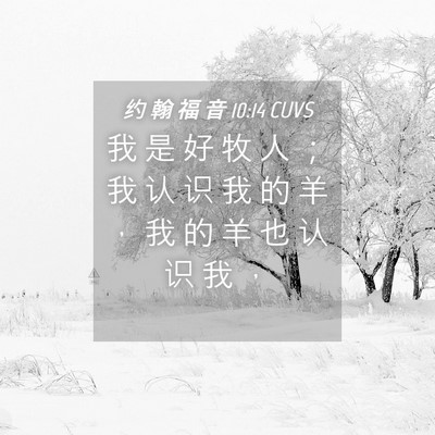 Picture 04 - 约 翰 福 音 10:14 CUVS - 我 是 好 牧 人 ； 我 认 识 我 的 羊 - Bible Verse Picture
