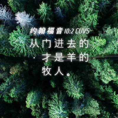 Picture 04 - 约 翰 福 音 10:2 CUVS - 从 门 进 去 的 ， 才 是 羊 的 牧 人 - Bible Verse Picture