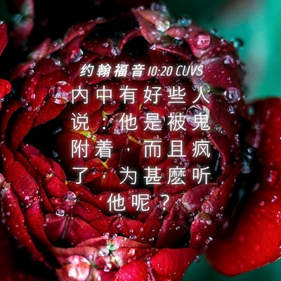 Picture 04 - 约 翰 福 音 10:20 CUVS - 内 中 有 好 些 人 说 ： 他 是 被 鬼 - Bible Verse Picture