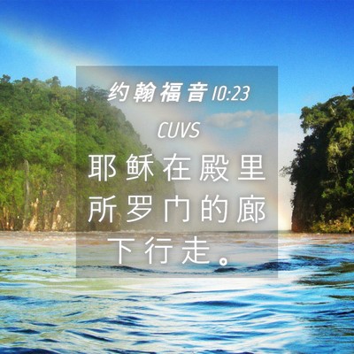 Picture 04 - 约 翰 福 音 10:23 CUVS - 耶 稣 在 殿 里 所 罗 门 的 廊 下 行 - Bible Verse Picture