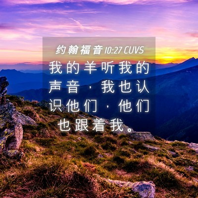 Picture 04 - 约 翰 福 音 10:27 CUVS - 我 的 羊 听 我 的 声 音 ， 我 也 认 - Bible Verse Picture