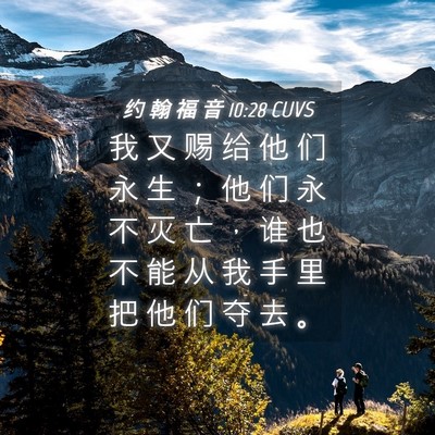 Picture 04 - 约 翰 福 音 10:28 CUVS - 我 又 赐 给 他 们 永 生 ； 他 们 永 - Bible Verse Picture